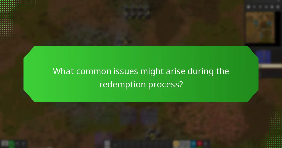 What common issues might arise during the redemption process?